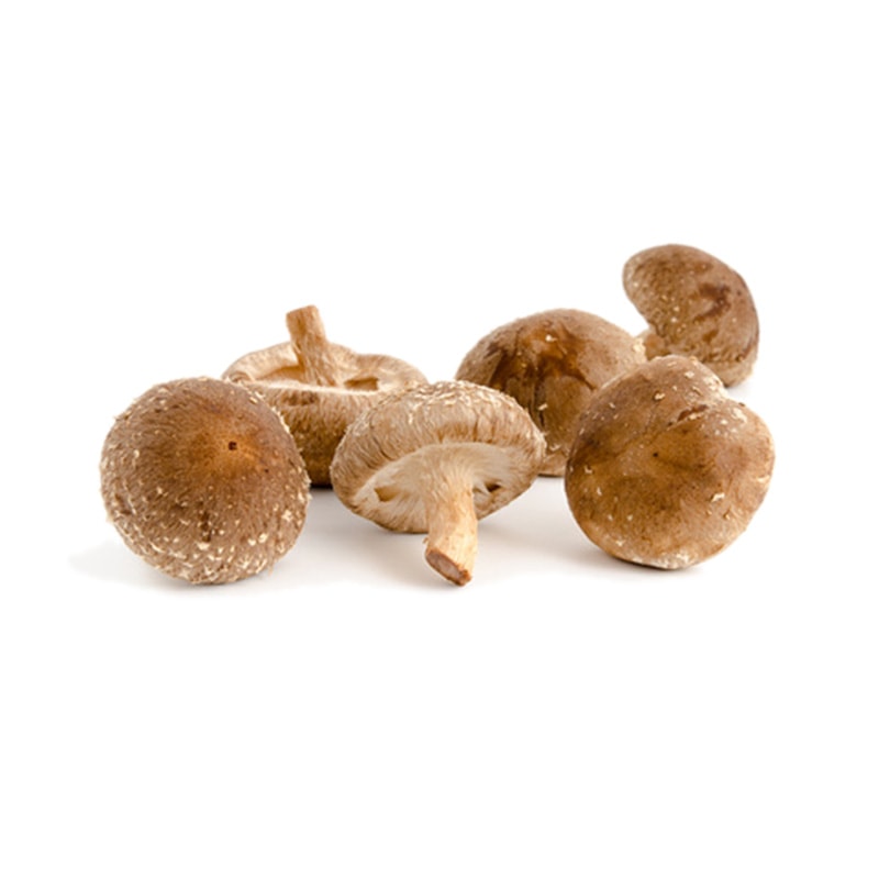 Flourish Ingredient Shiitake